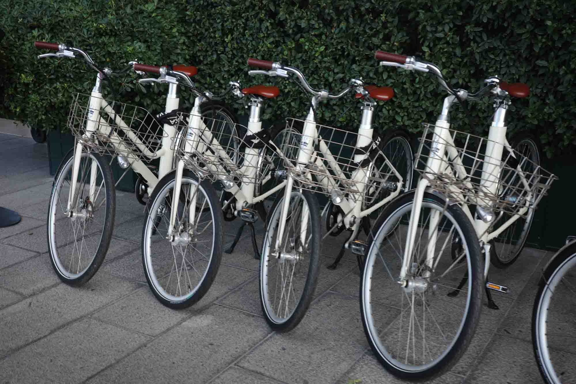 111604bem5pqay7agu0vu4.jpg